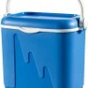 Curver Koelbox - Blauw - 32 Liter -Sport Buiten 927x1200